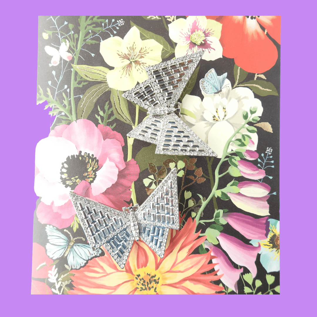 decorative shoe clips