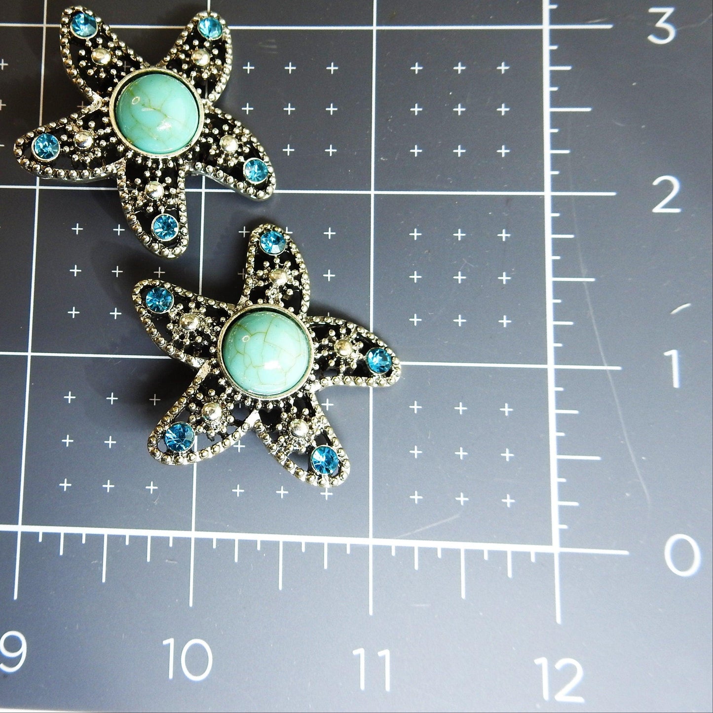 beachy decorative snaps