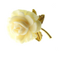 White Rose Brooch