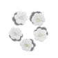 White flower buttons for decorating and sewing. Set of 5, with a shank. Great for assemblage art, repurposed projects, and bridal jewelry