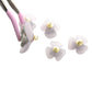 Charming Flower-Shaped Buttons in Pastel Colors - Set of 5